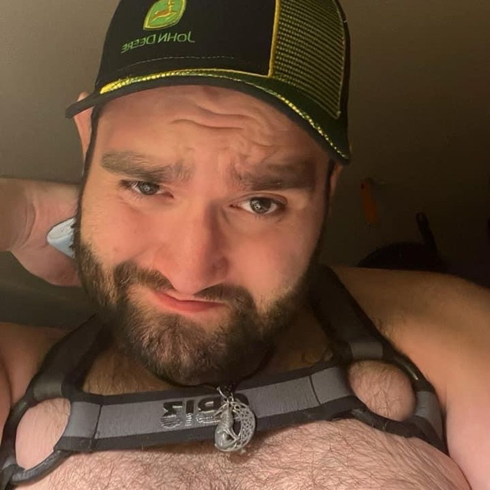 Cubbybear