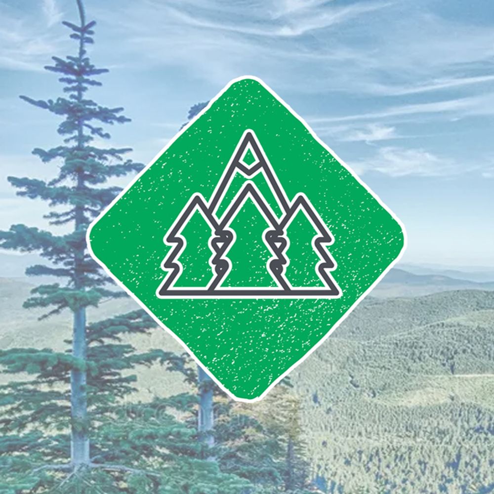 GreenPartyofNEWA