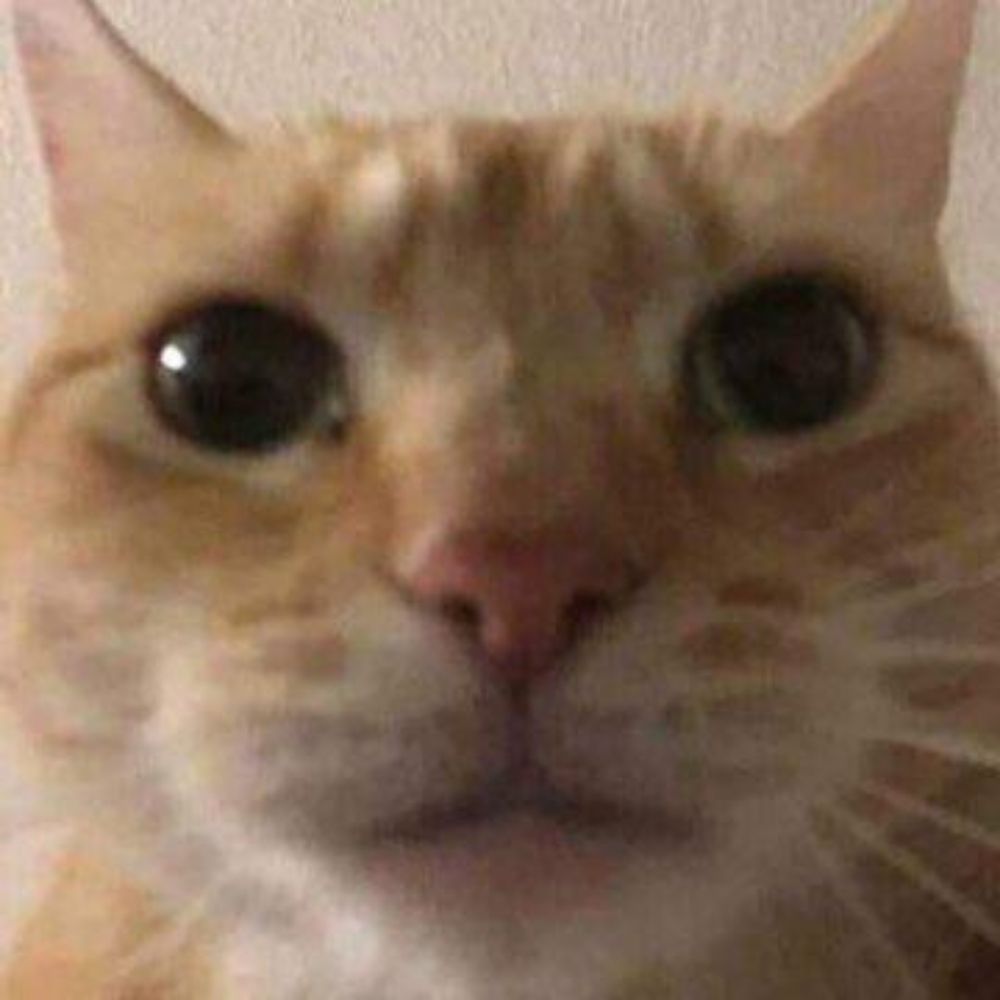 dan