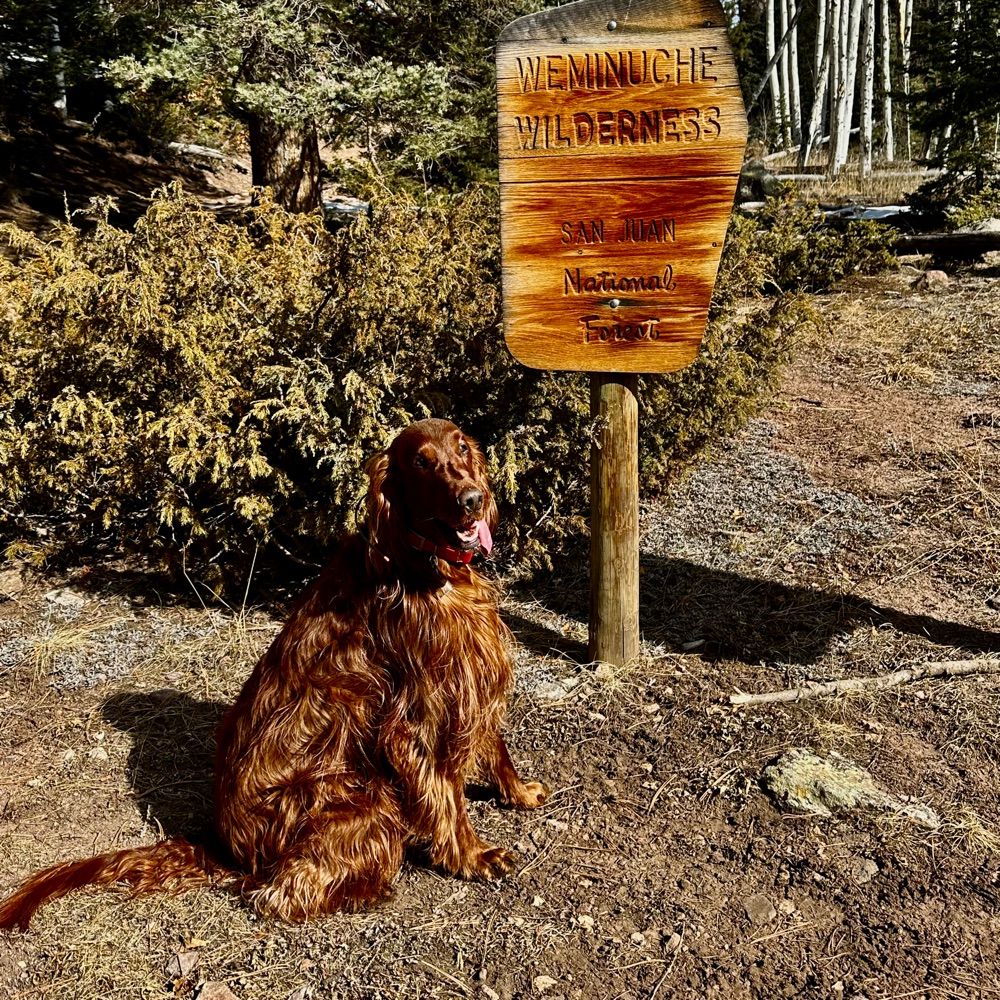 Durango Dog Mom
