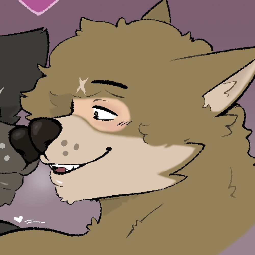 husband hound