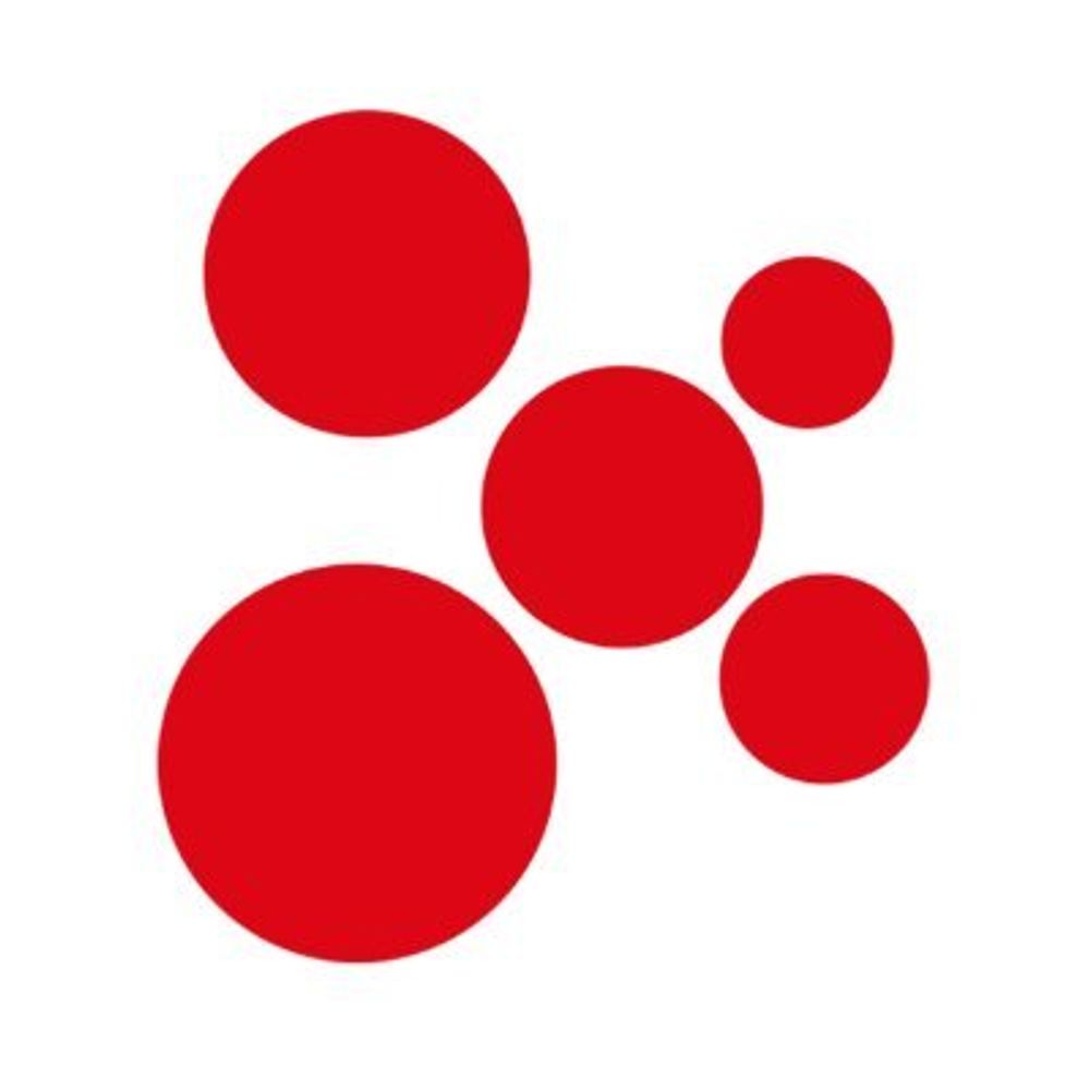 Asociación RUVID