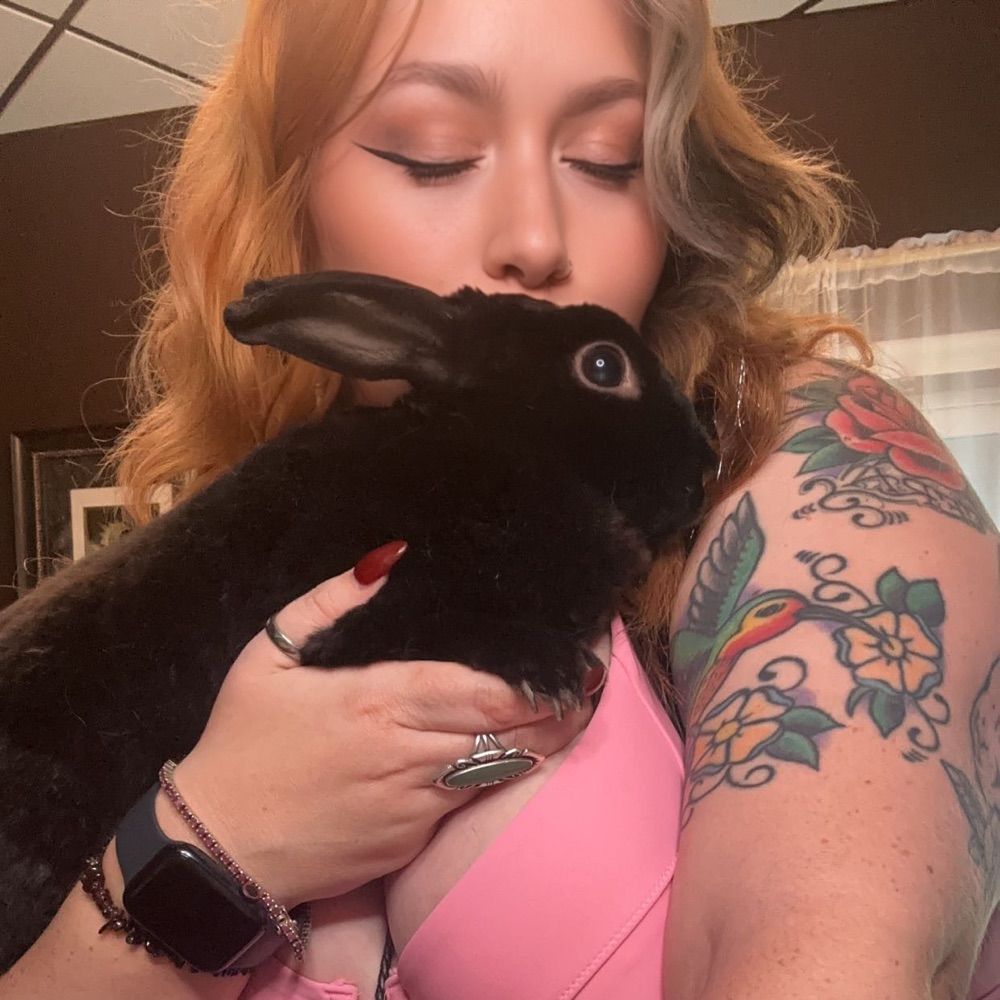 Hunter and The Hare Lounge