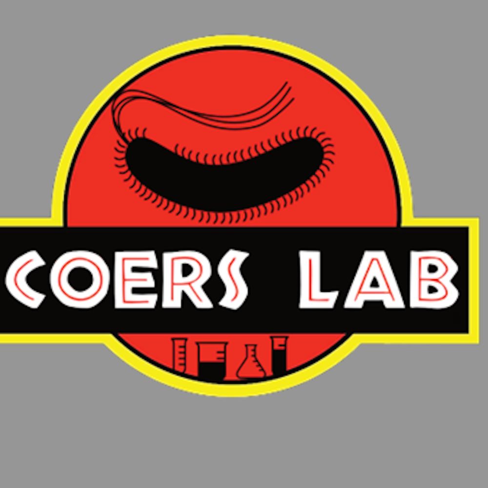 Jörn Coers