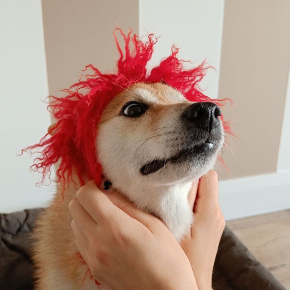 Heckbeans