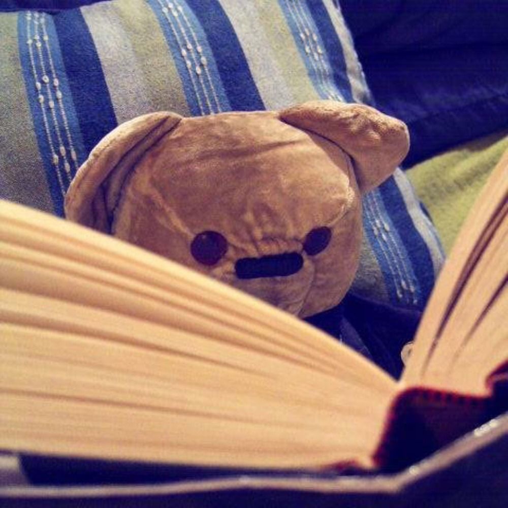 Teddy M. Bear