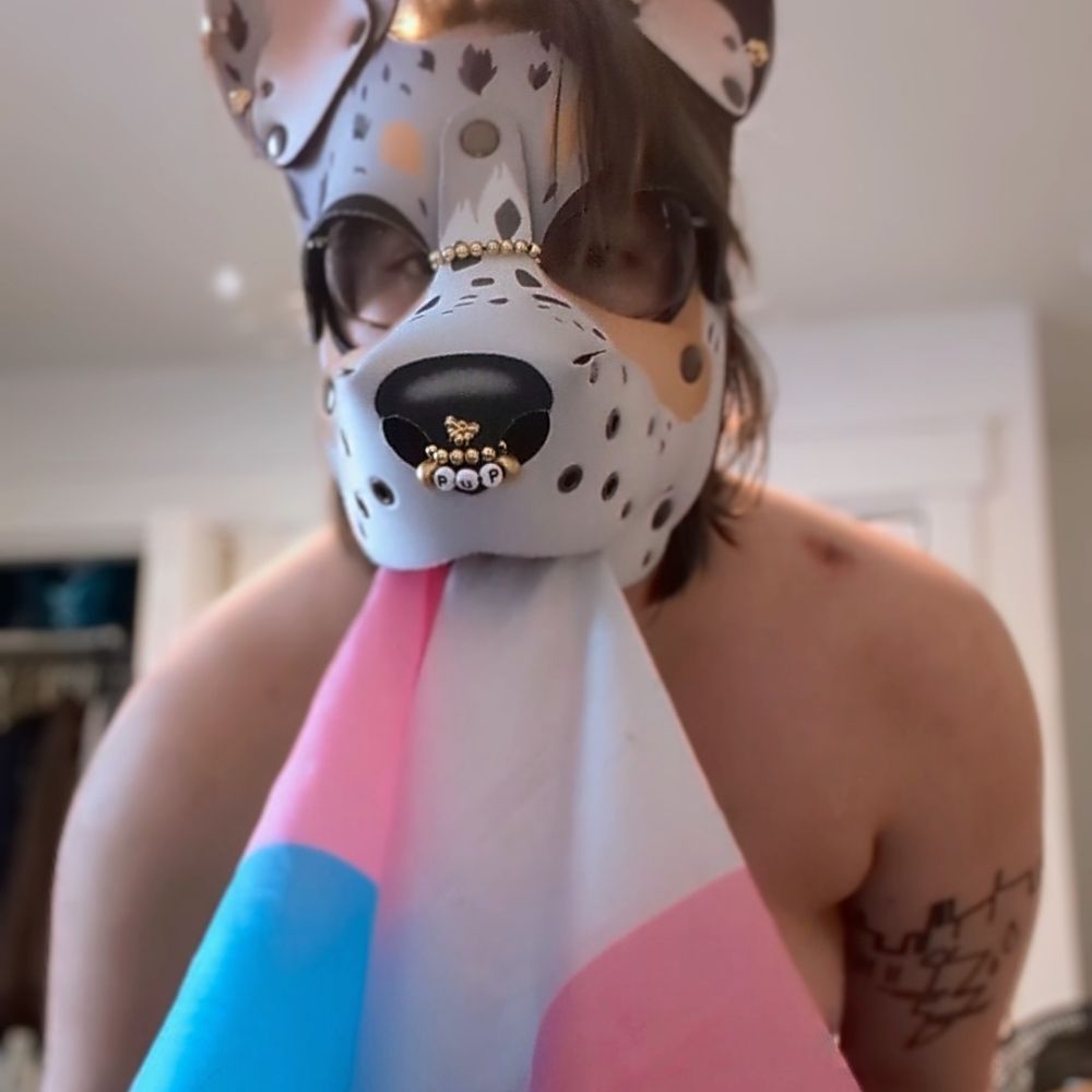 Dizzy Pup 🐾🔞 || DMs open ✨🔥