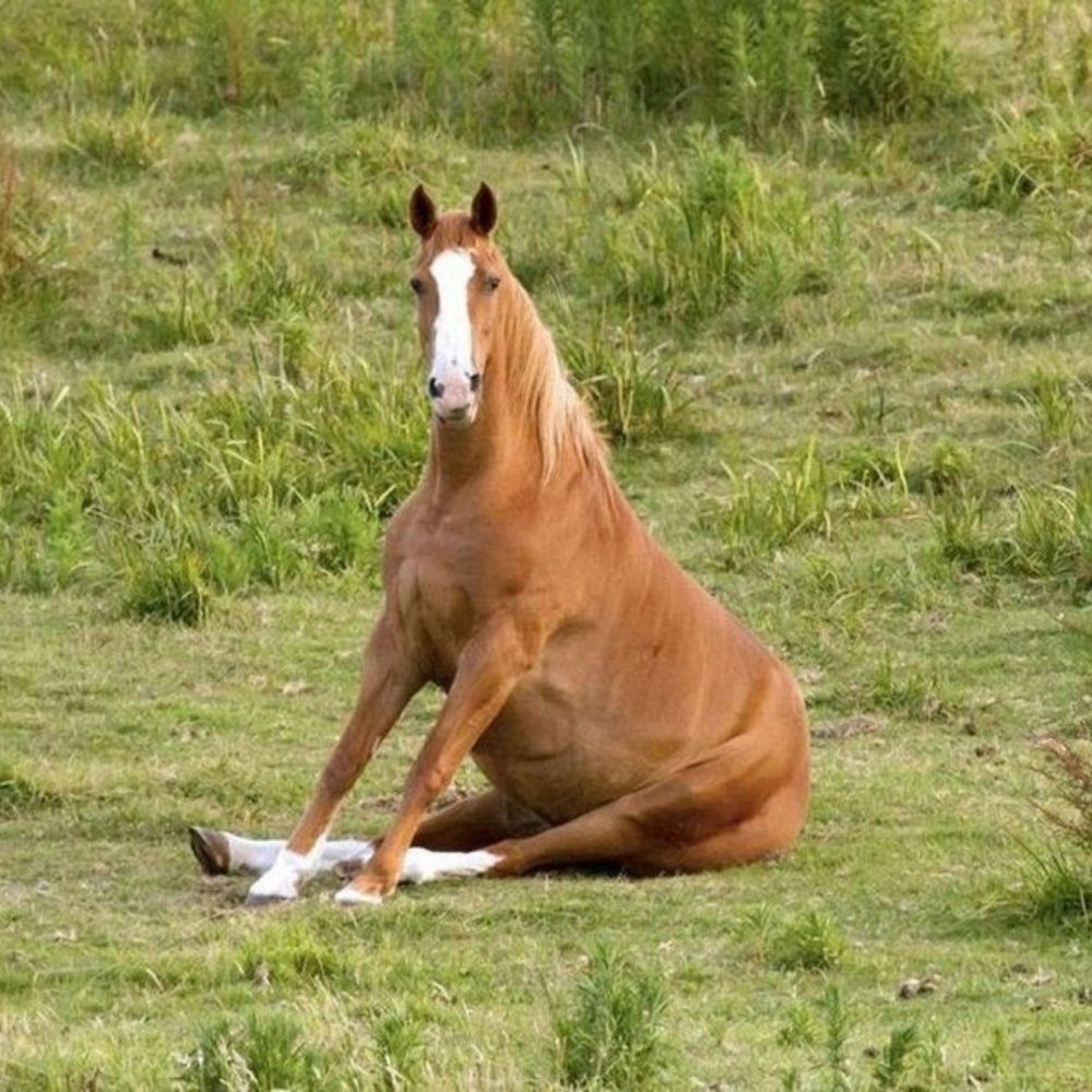 Рин