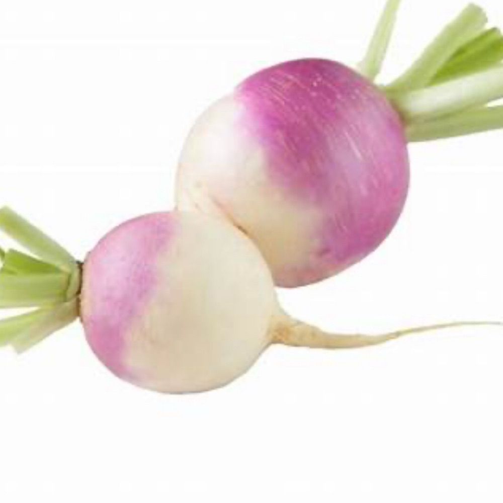 Squeaky Turnip