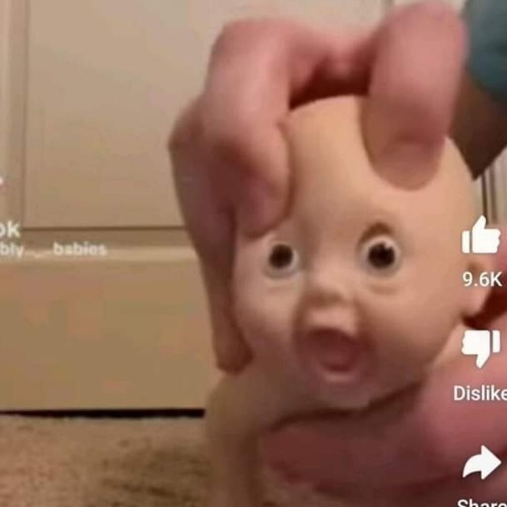 脫睪丸家
