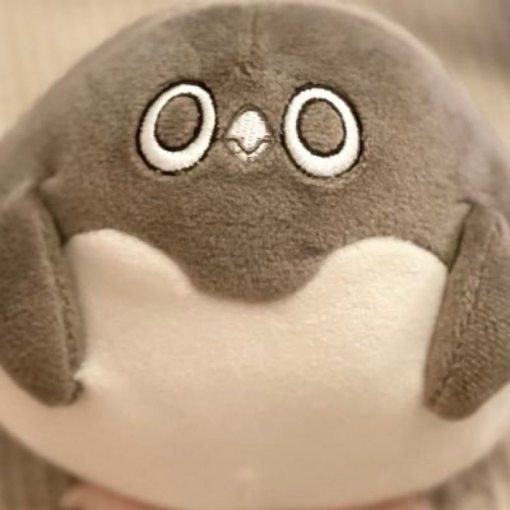 れいこ🐧2y6m