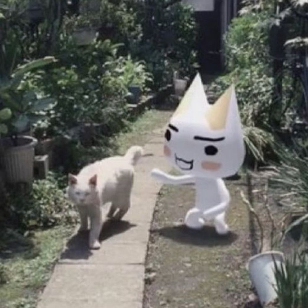 ぽっぴっぽー