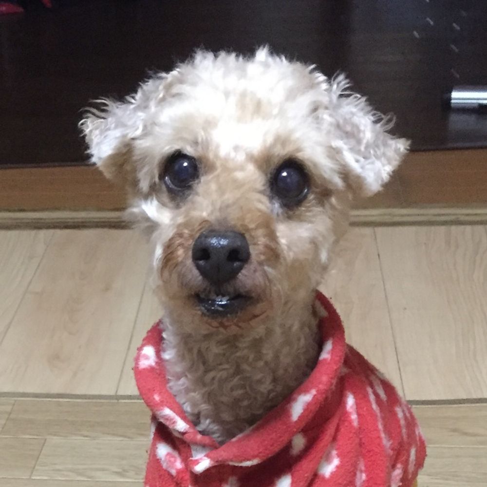 🐾コタロー🐾