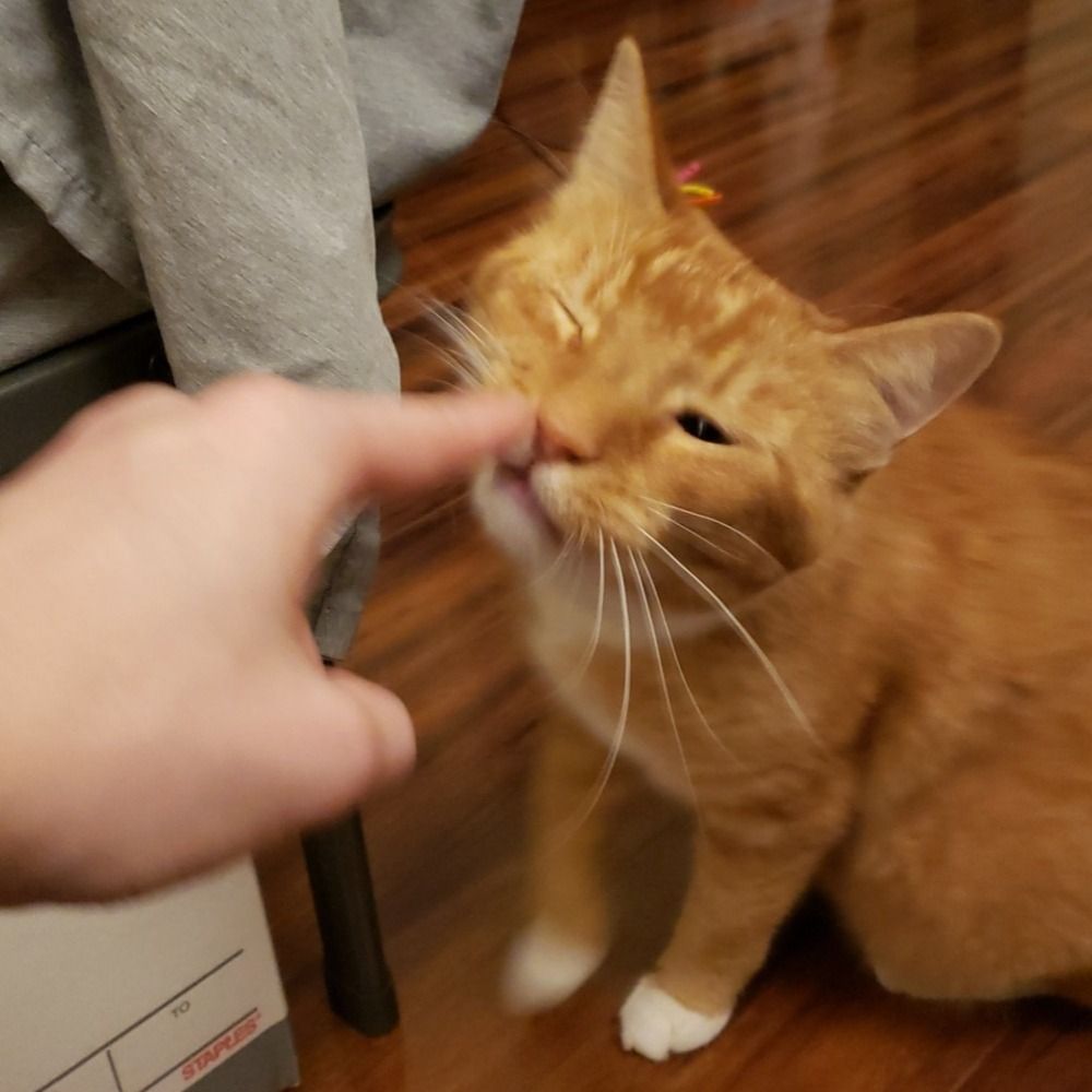 jsh