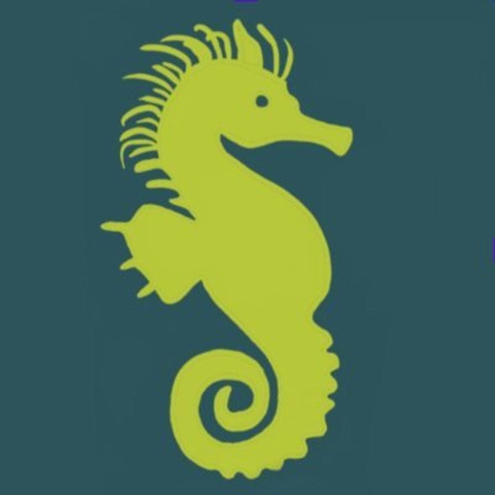 The Seahorse Collective