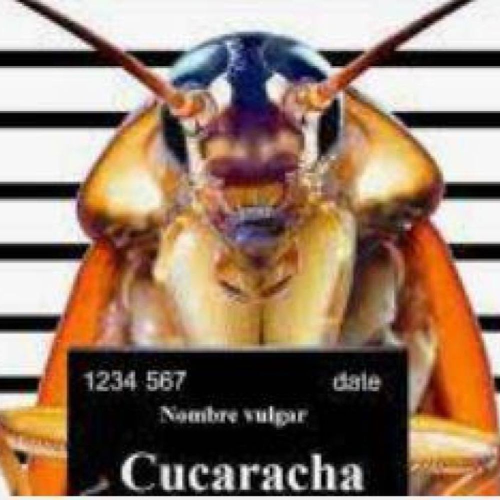 Libertad a la Cuqui