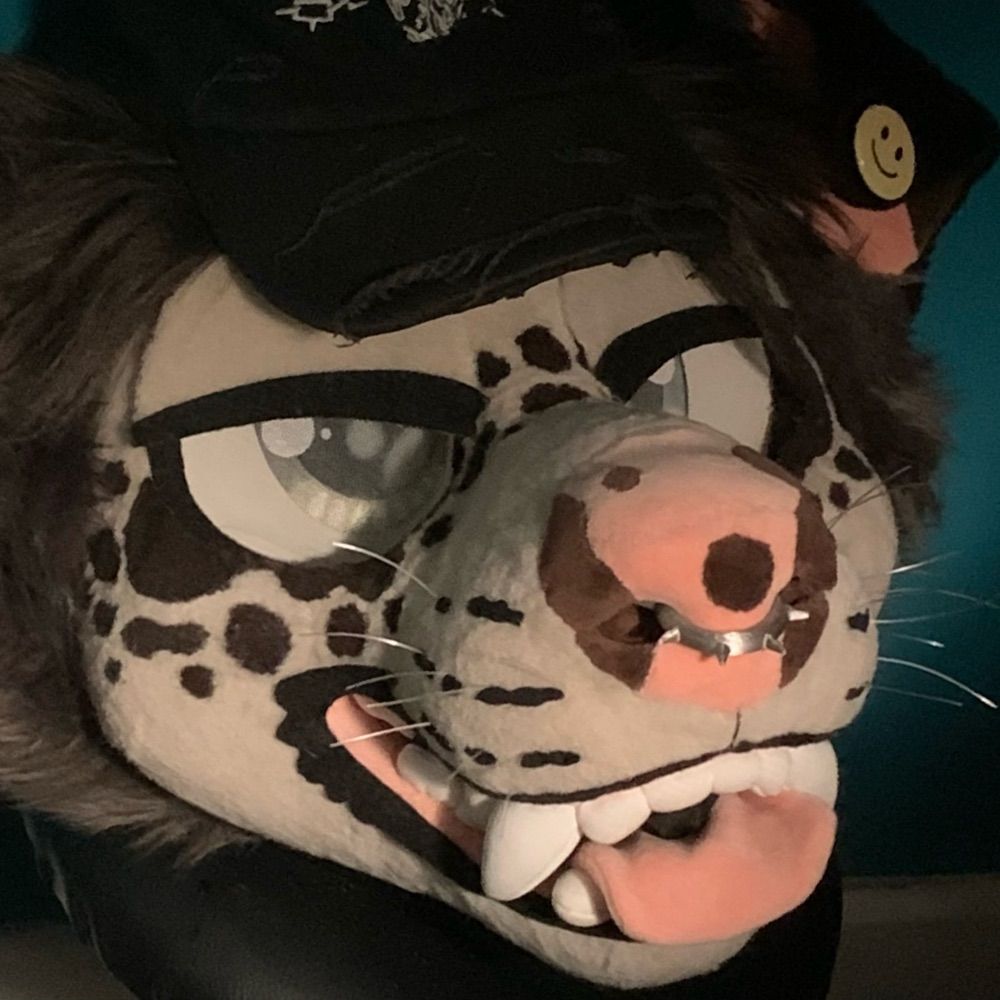cavitymutt 🔜 FWA