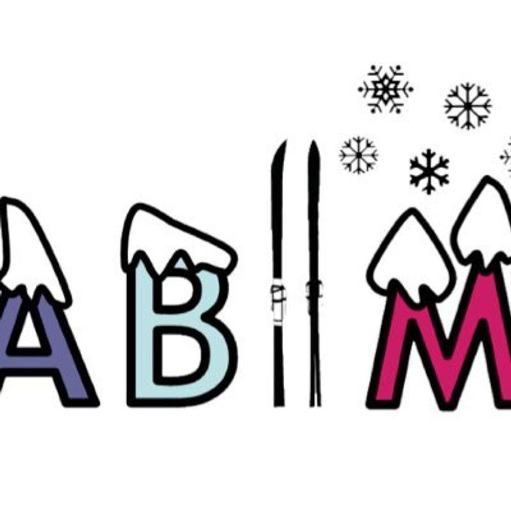 Alpine Brain Imaging Meeting