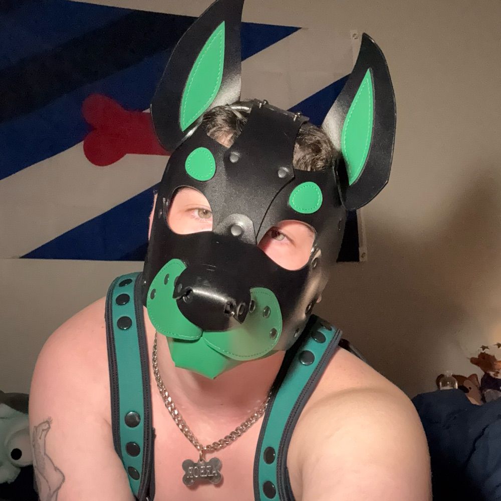 pup arbor 🌲