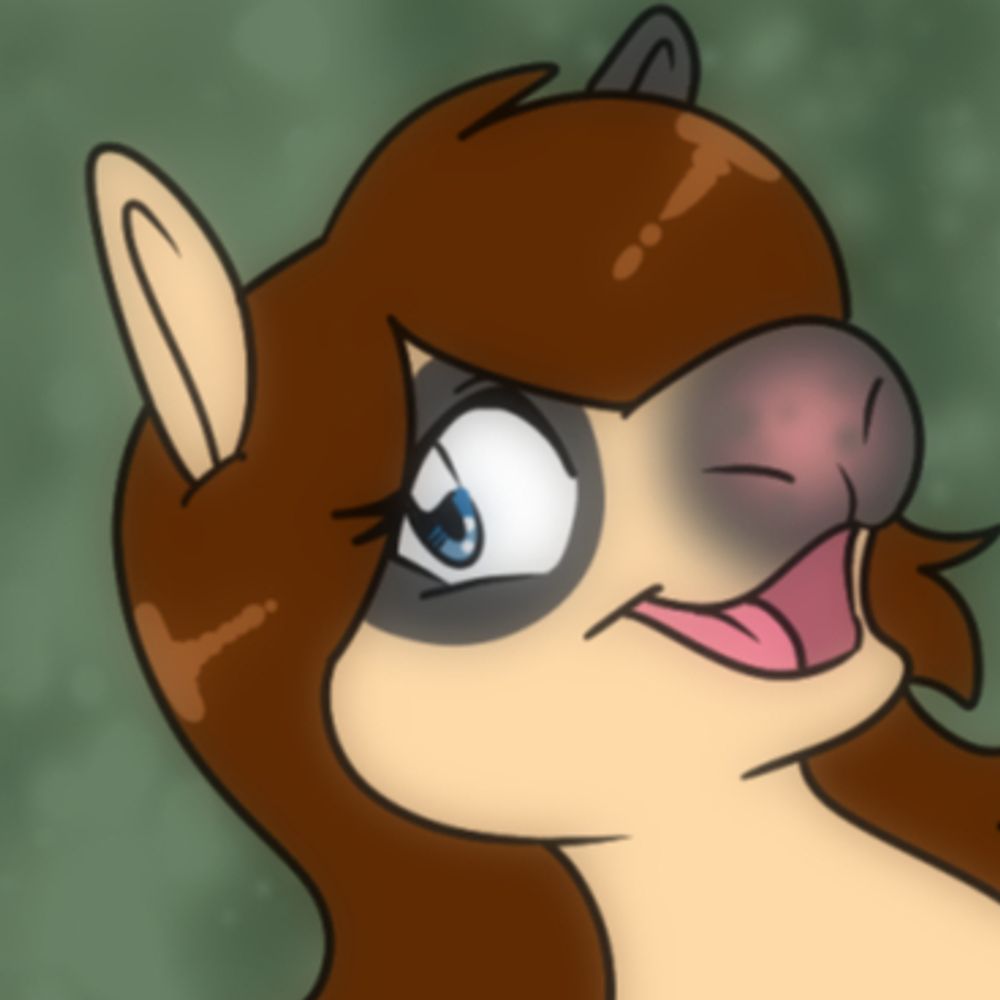 horsegirl braintrot arc