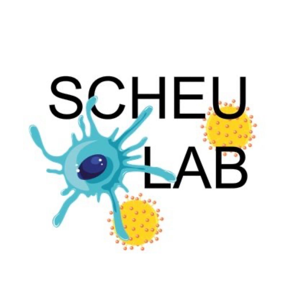 Scheu Lab