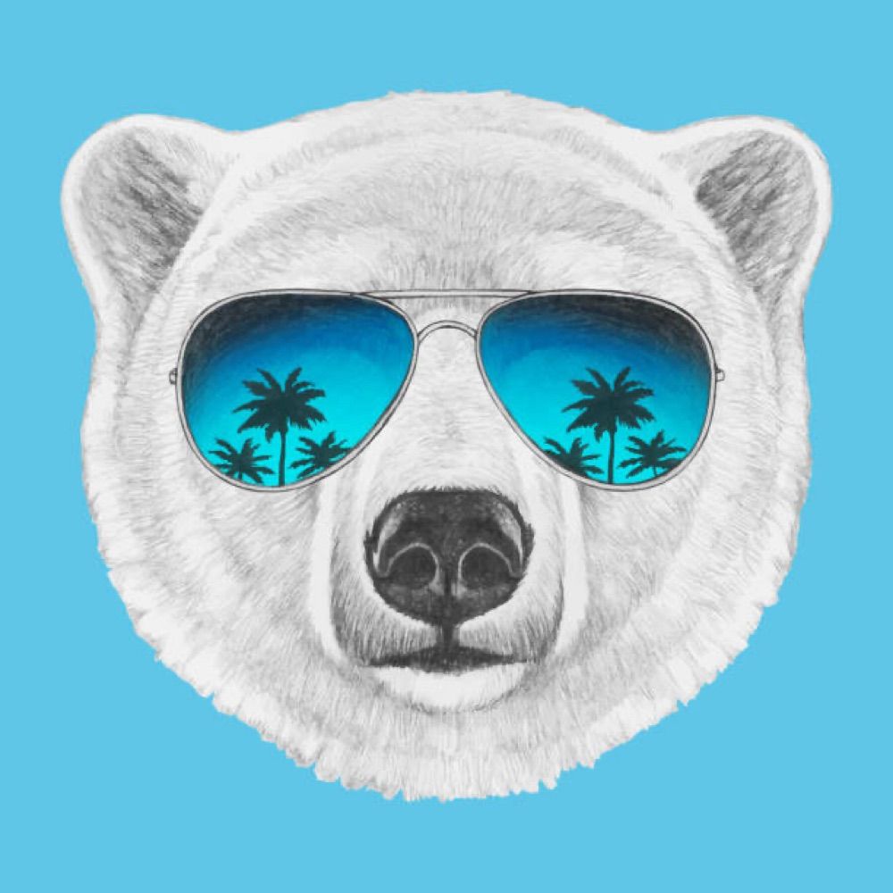 Big Little Polar Bear