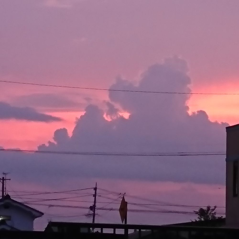 しろいうどん