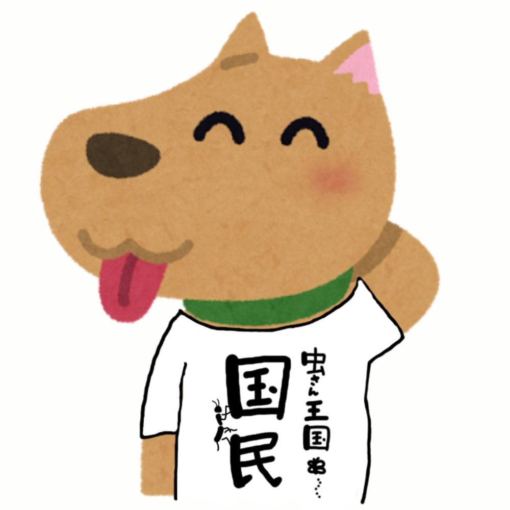 かっこ()