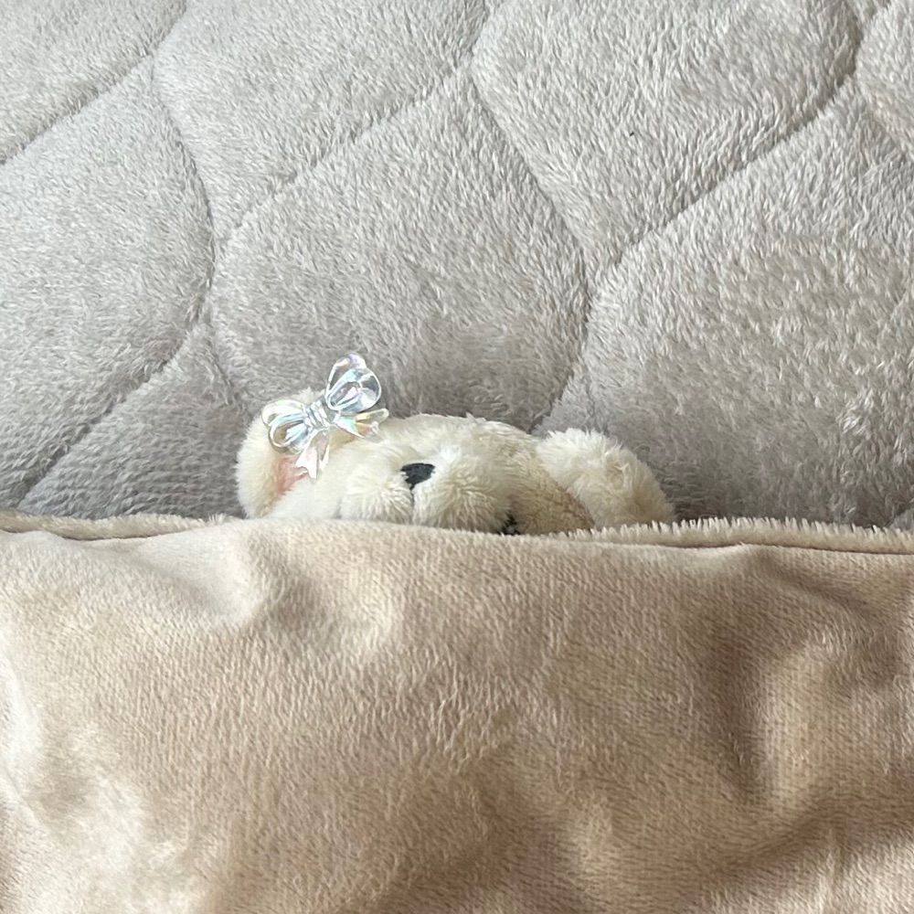 nanimo-omoitukan.bsky.social