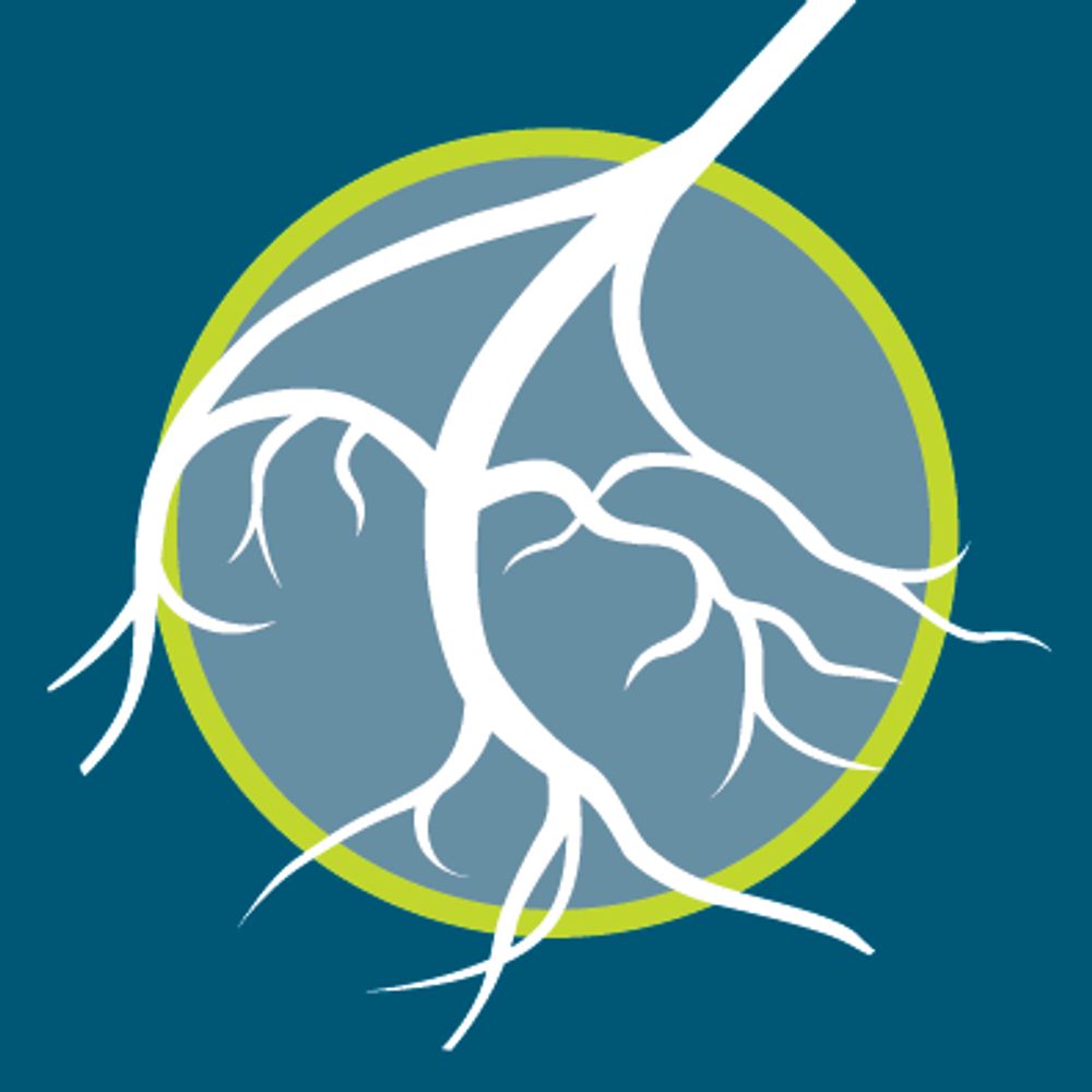 the Foundation for Peripheral Neuropathy