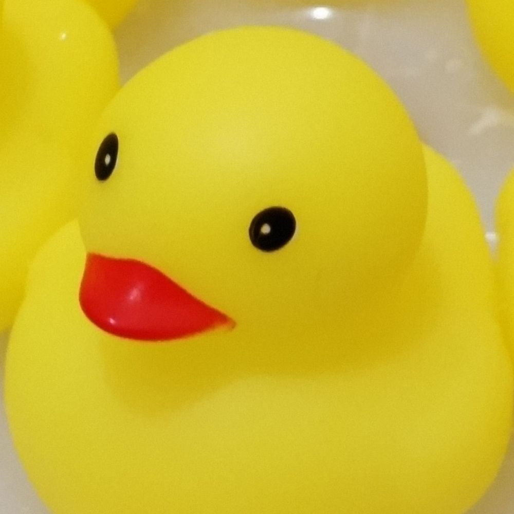 ななし