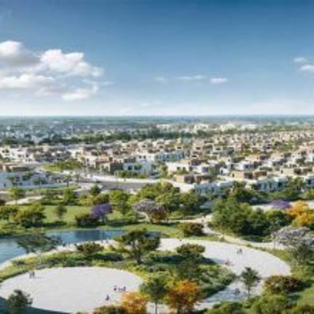 emeraldedition.bsky.social