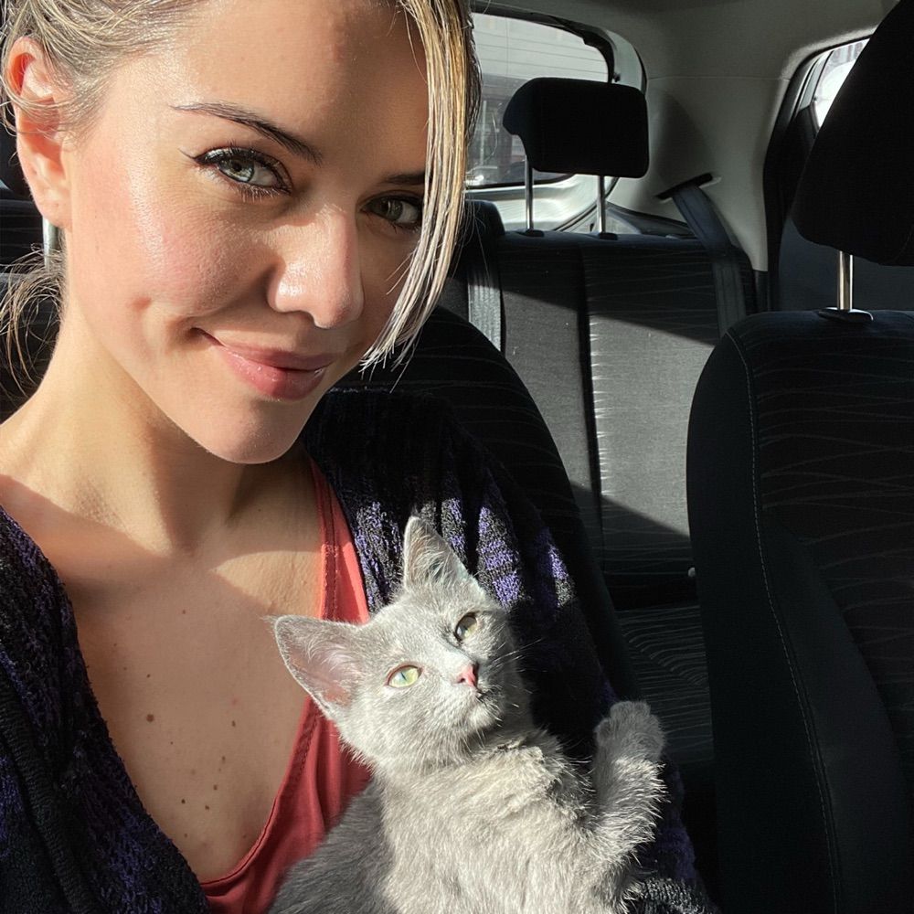 JustKittenAround