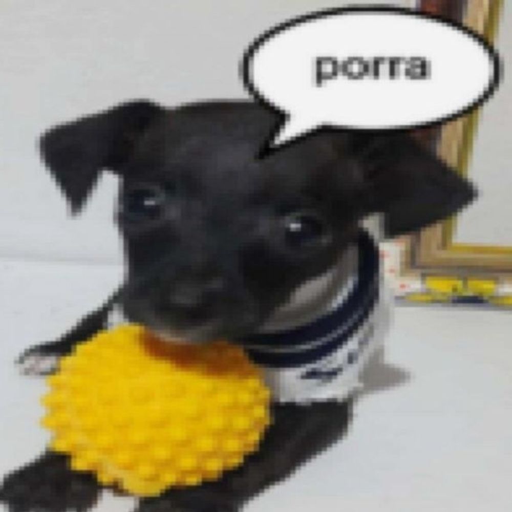 mhkk