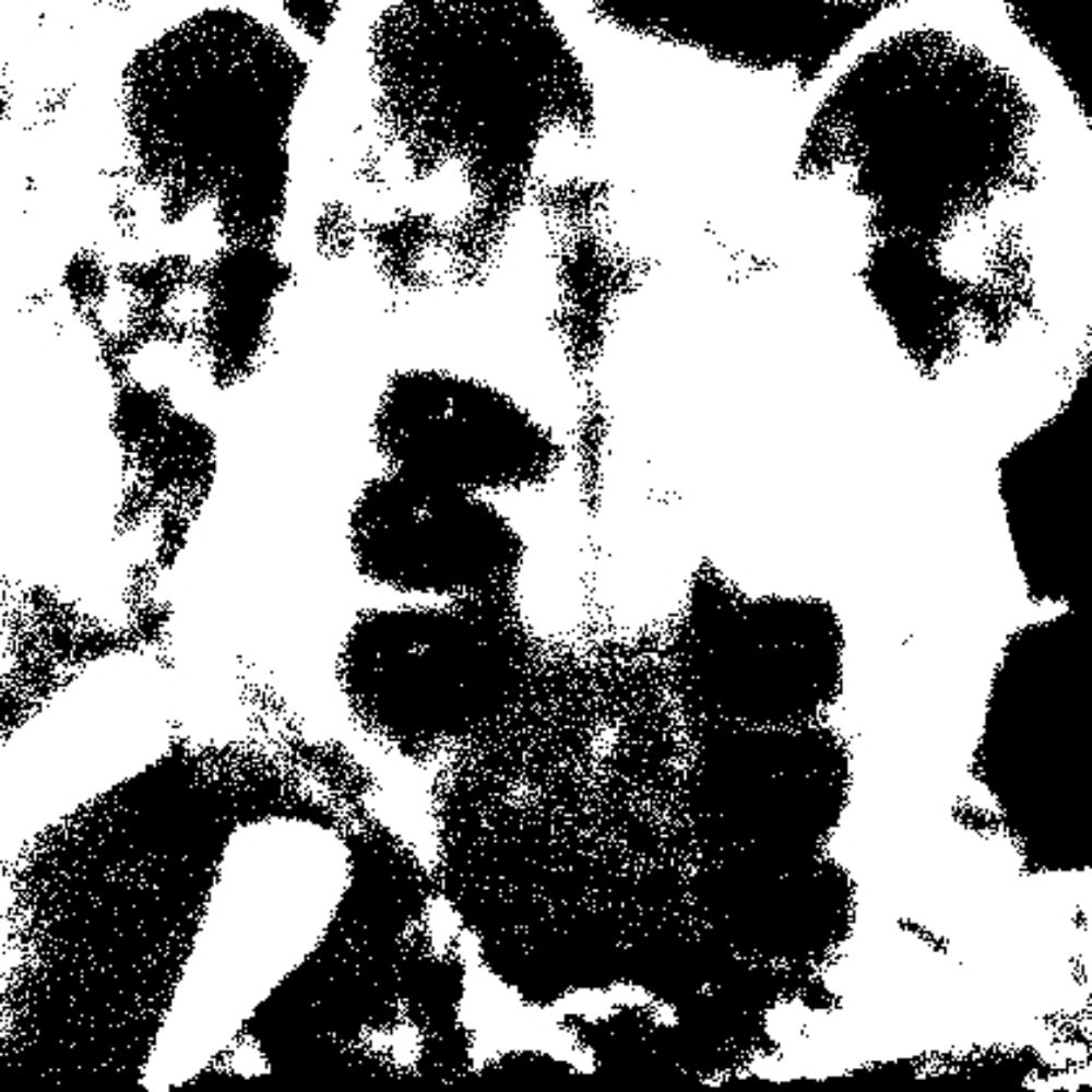 ✷oѕdoĸ✷