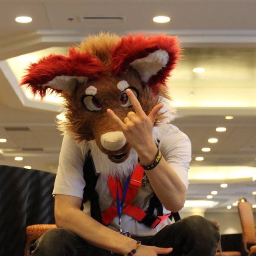 Rin Wolf