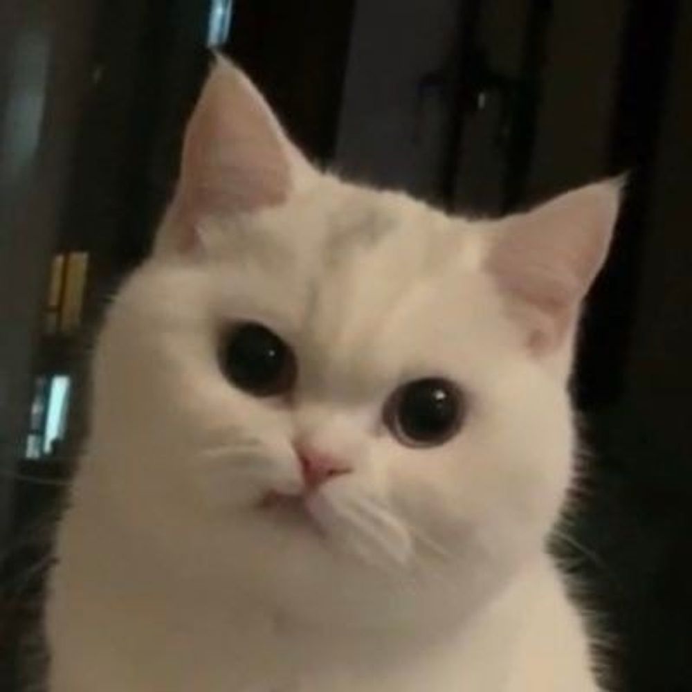 Caty