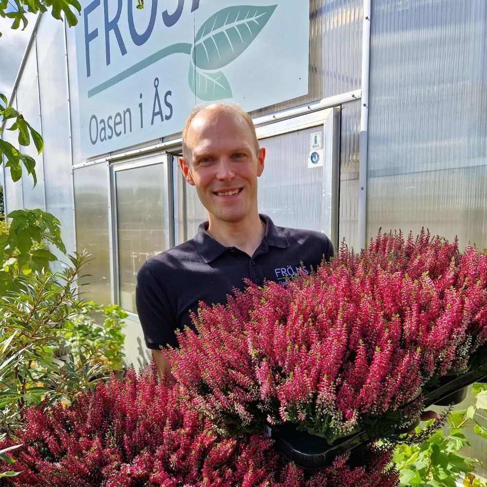 Fröjas, oasen i Ås