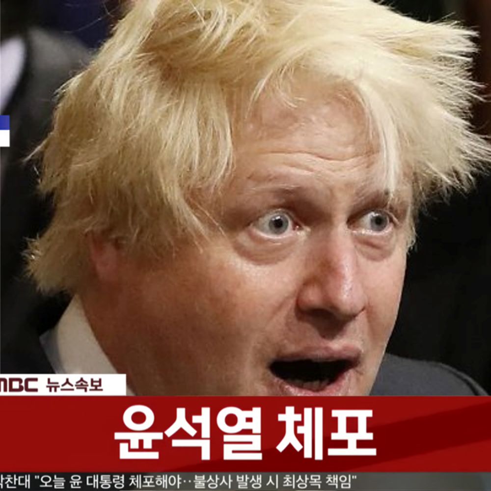 보리수존슨