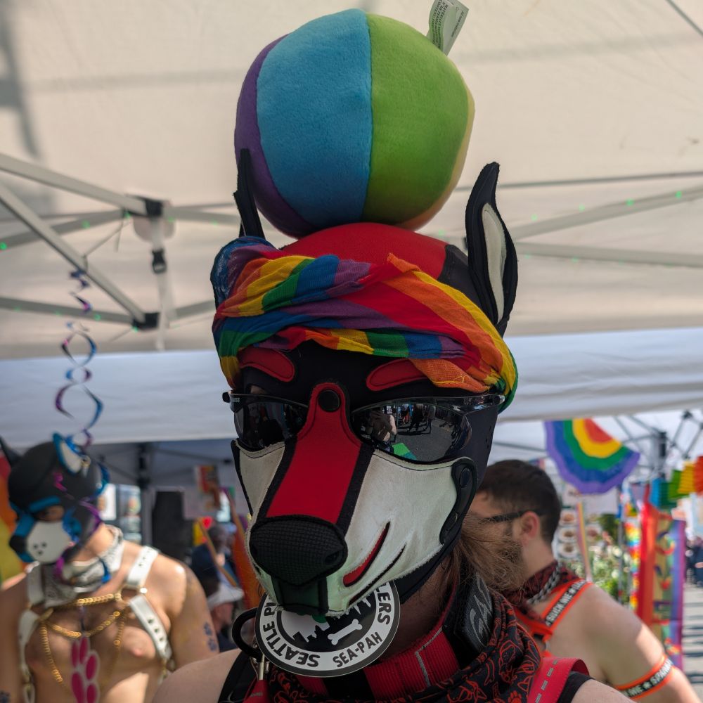 gadget-pup.bsky.social