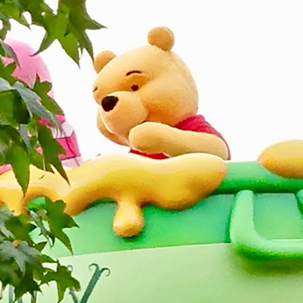 プーさんのけだま