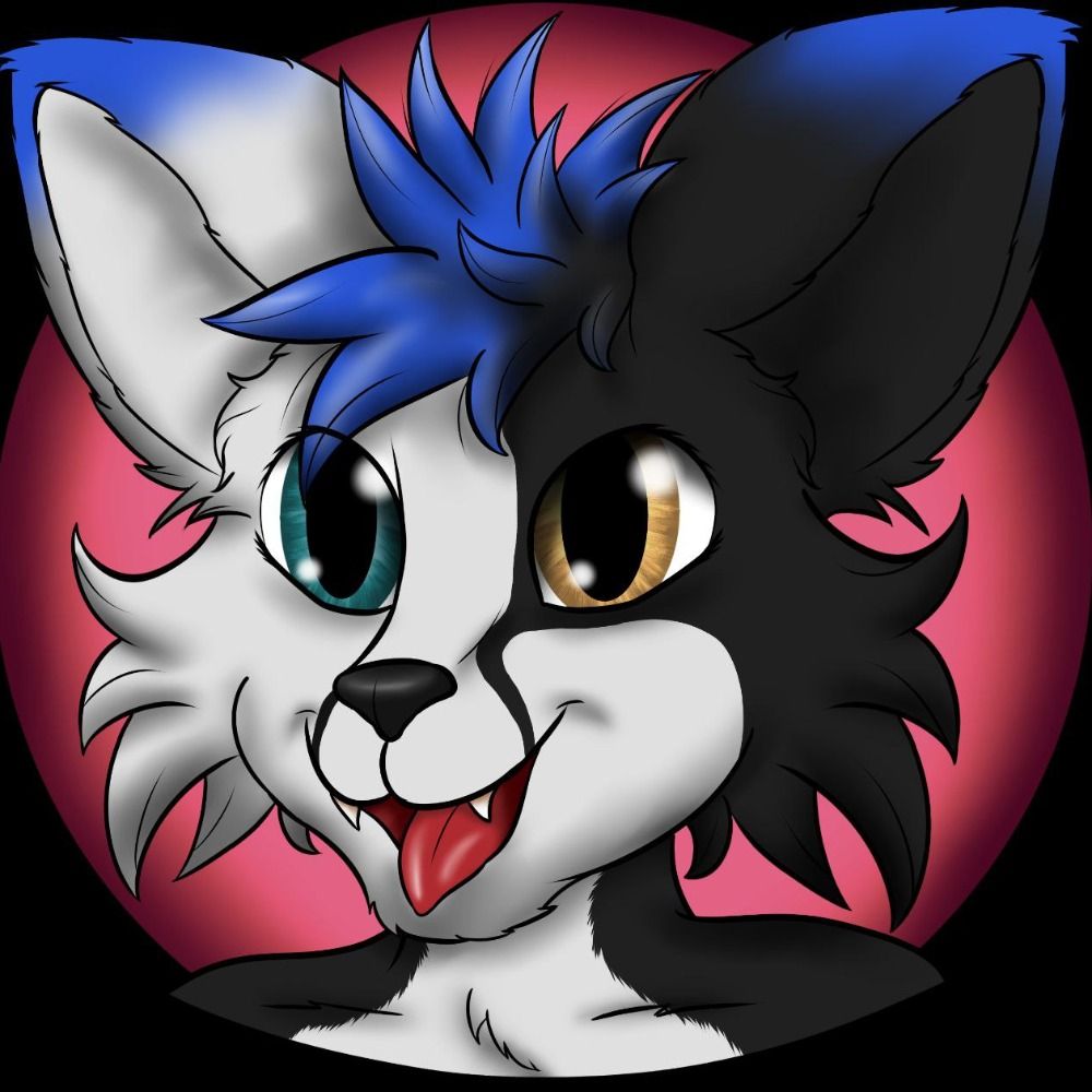 Verona the Yeentah