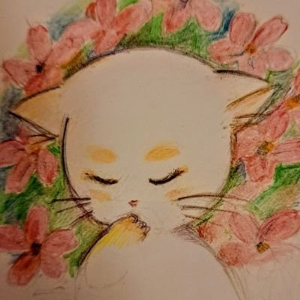 ひらの