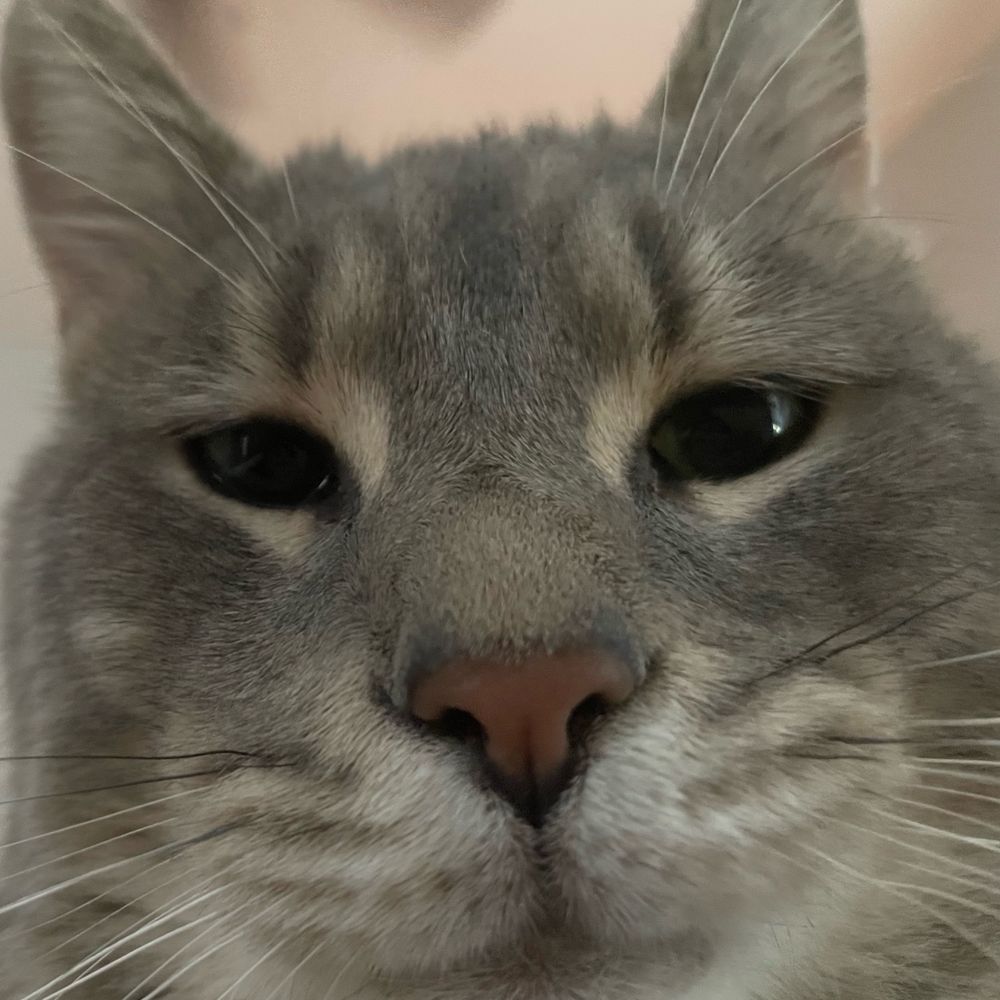 datboi