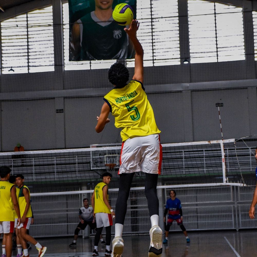 marcelo araujo 🏐