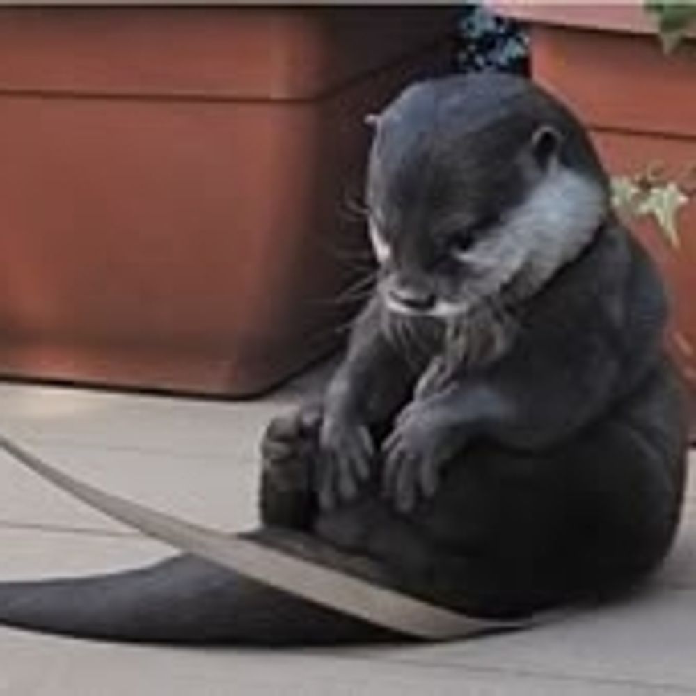 otters (magerquark era)