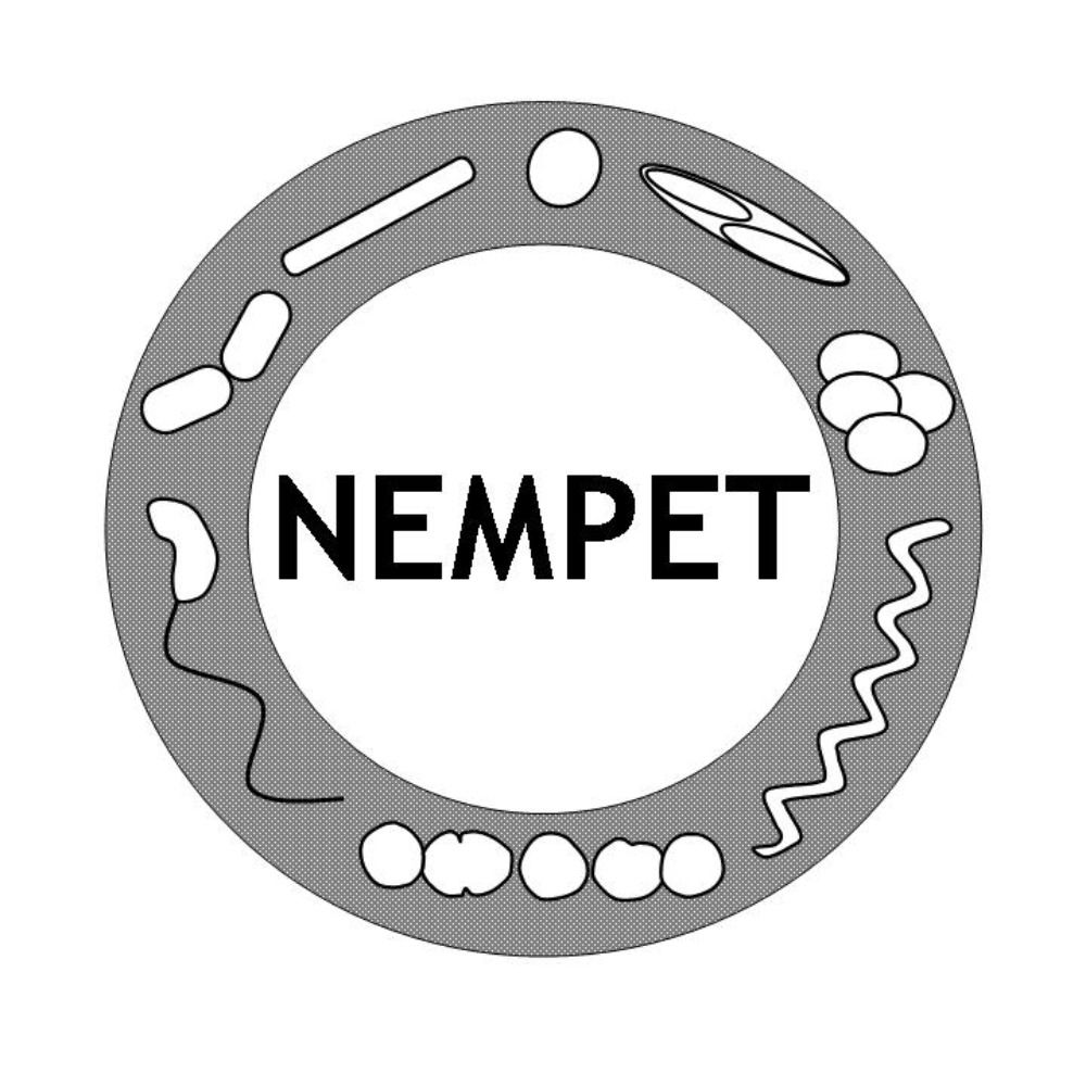 NEMPET's avatar
