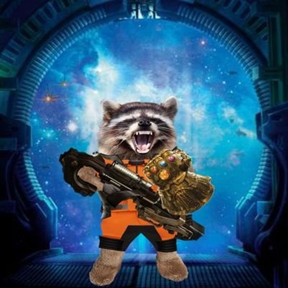 Rocket Fella