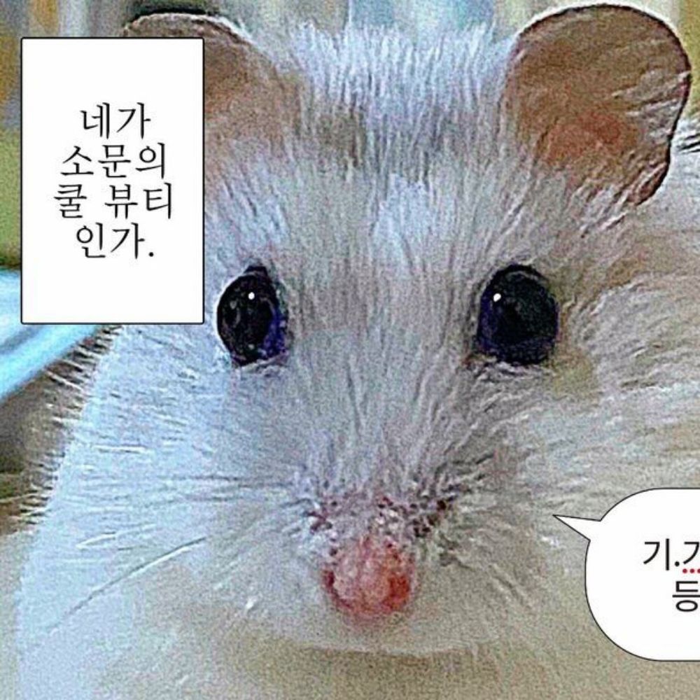 뭉람