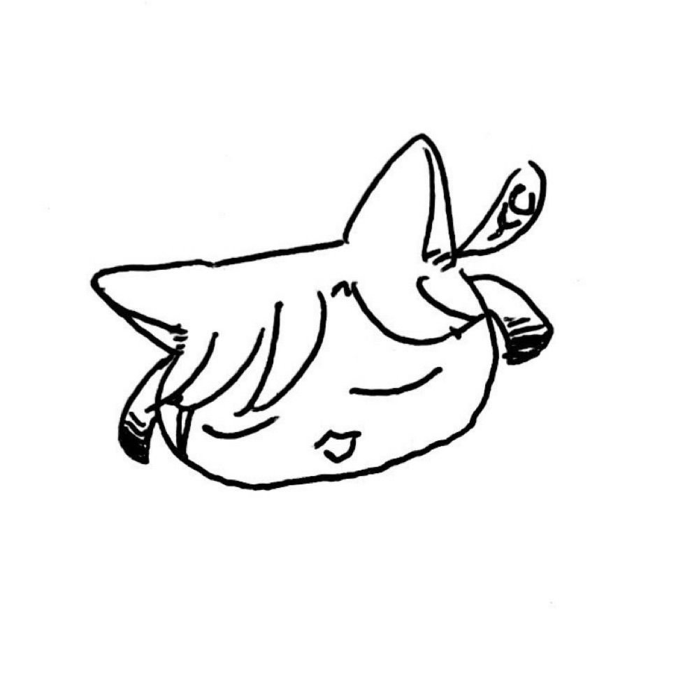 佐江